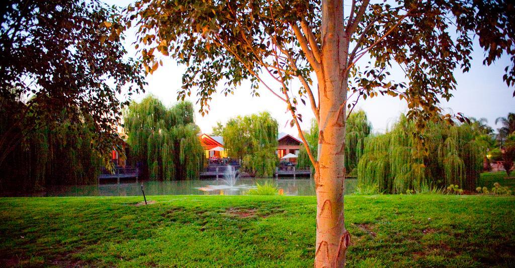 Perricoota Vines Retreat Ξενοδοχείο Moama Εξωτερικό φωτογραφία