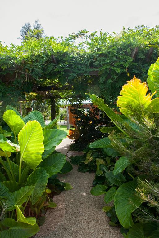 Perricoota Vines Retreat Ξενοδοχείο Moama Εξωτερικό φωτογραφία