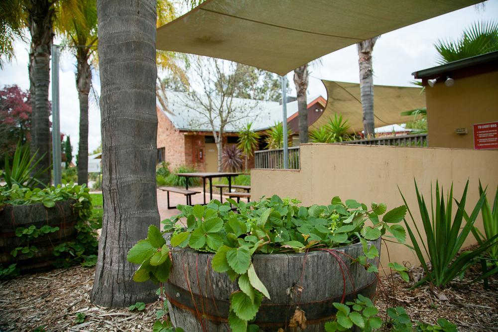 Perricoota Vines Retreat Ξενοδοχείο Moama Εξωτερικό φωτογραφία