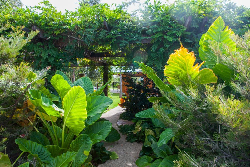 Perricoota Vines Retreat Ξενοδοχείο Moama Εξωτερικό φωτογραφία
